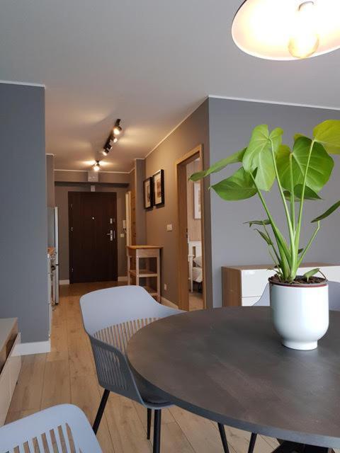 Apartament Triventi 88 Z Widokiem Na Sniezke - 5D Apartamenty 卡尔帕奇 外观 照片