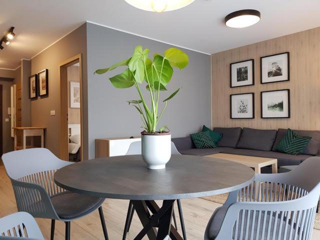 Apartament Triventi 88 Z Widokiem Na Sniezke - 5D Apartamenty 卡尔帕奇 外观 照片